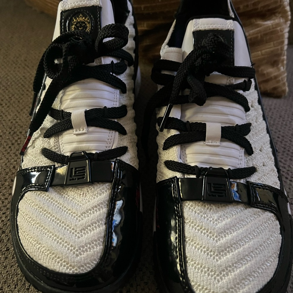 Nike Lebron Sneakers
